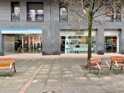 ACE La Seu Clínica Veterinaria