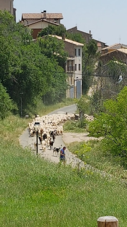 Agrotienda