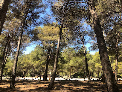 Área recreativa El Pinarillo
