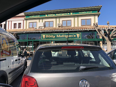 Biddy Mulligan´s Irish Pub