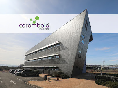 Carambola Marketing | Mejoramos tu fórmula de venta