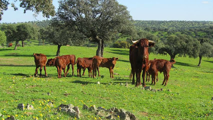 Cárnicas Miguel y Arenas S.L.