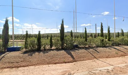 Casaredia S.L.
