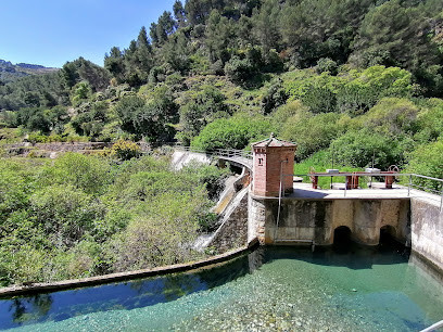 Nacimiento Rio Grande Yunquera