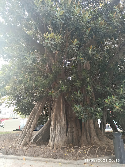 Parque Andalucía