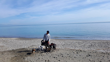 Playa Malibu