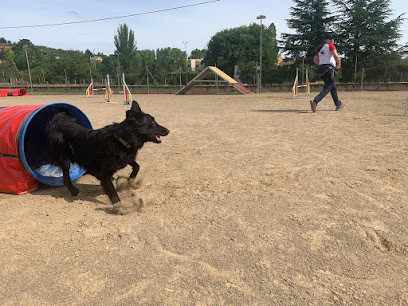 Rioiia Escuela canina