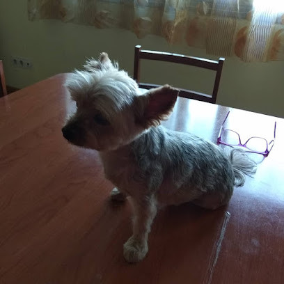 V3 Veterinaris Tàrrega