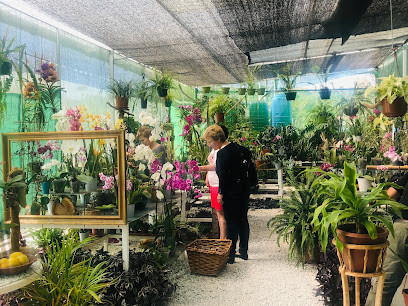 Vivero El Jardín de las Orquídeas Málaga