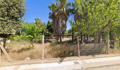 Vivero municipal
