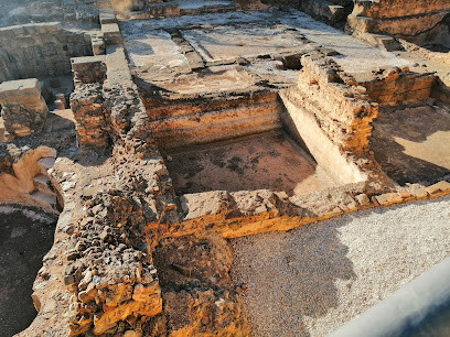 Yacimiento Arqueológico Romano "Finca del Secretario"